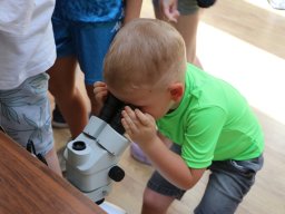 Półkolonie letnie 2025